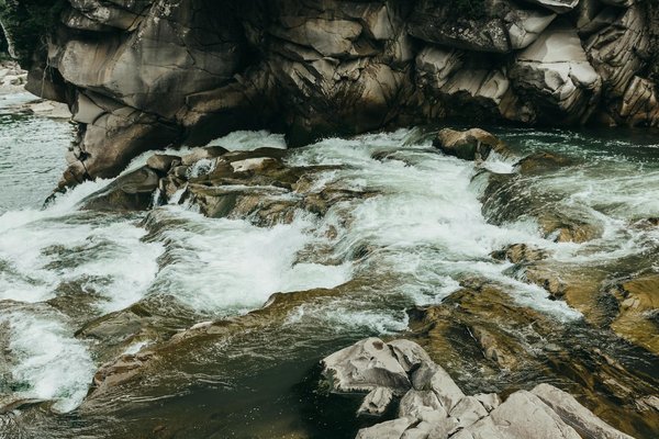 Quels sont les conseils pour un camping en forêt de séquoias en Californie?